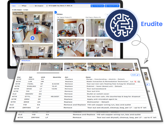 Rapid Damage Assessment Rapid Damage Assessment
